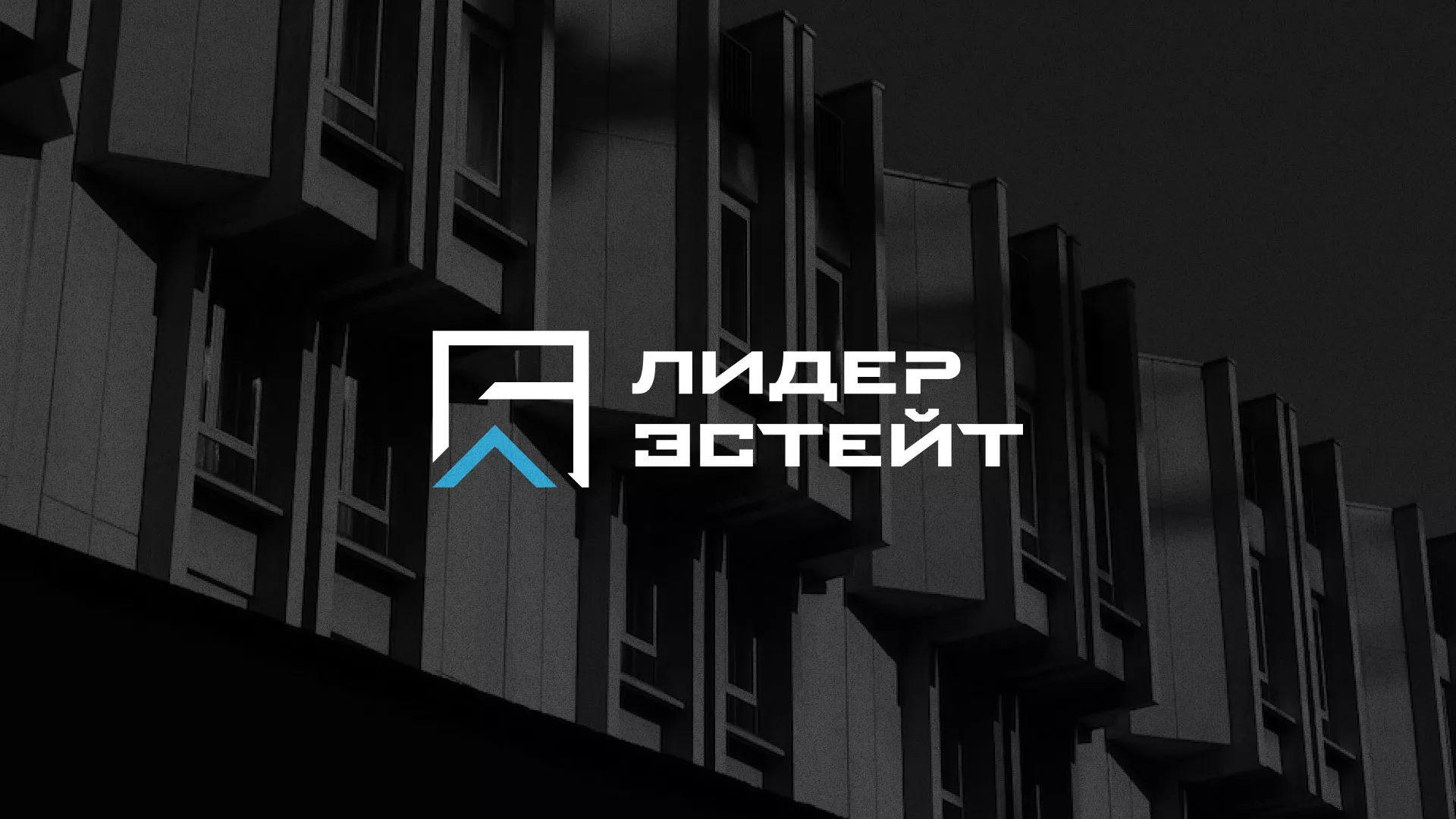 Разработка логотипа агентства недвижимости «Лидер Эстейт» в Советске